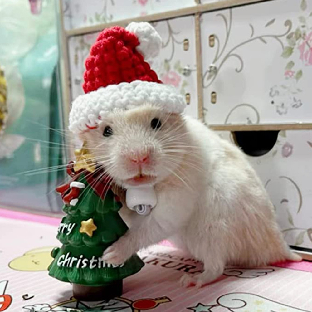 Hand Woven Pet Christmas Hat D – Santa Hat Plush recenzja i cena