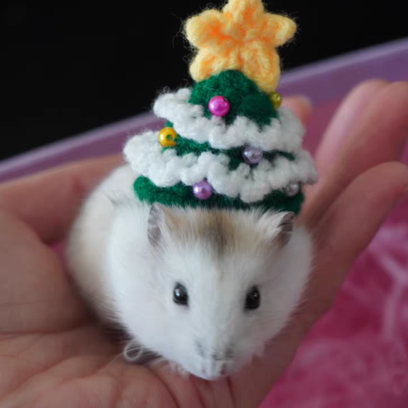 Hand Woven Pet Christmas Hat D – Santa Hat Plush recenzja i cena