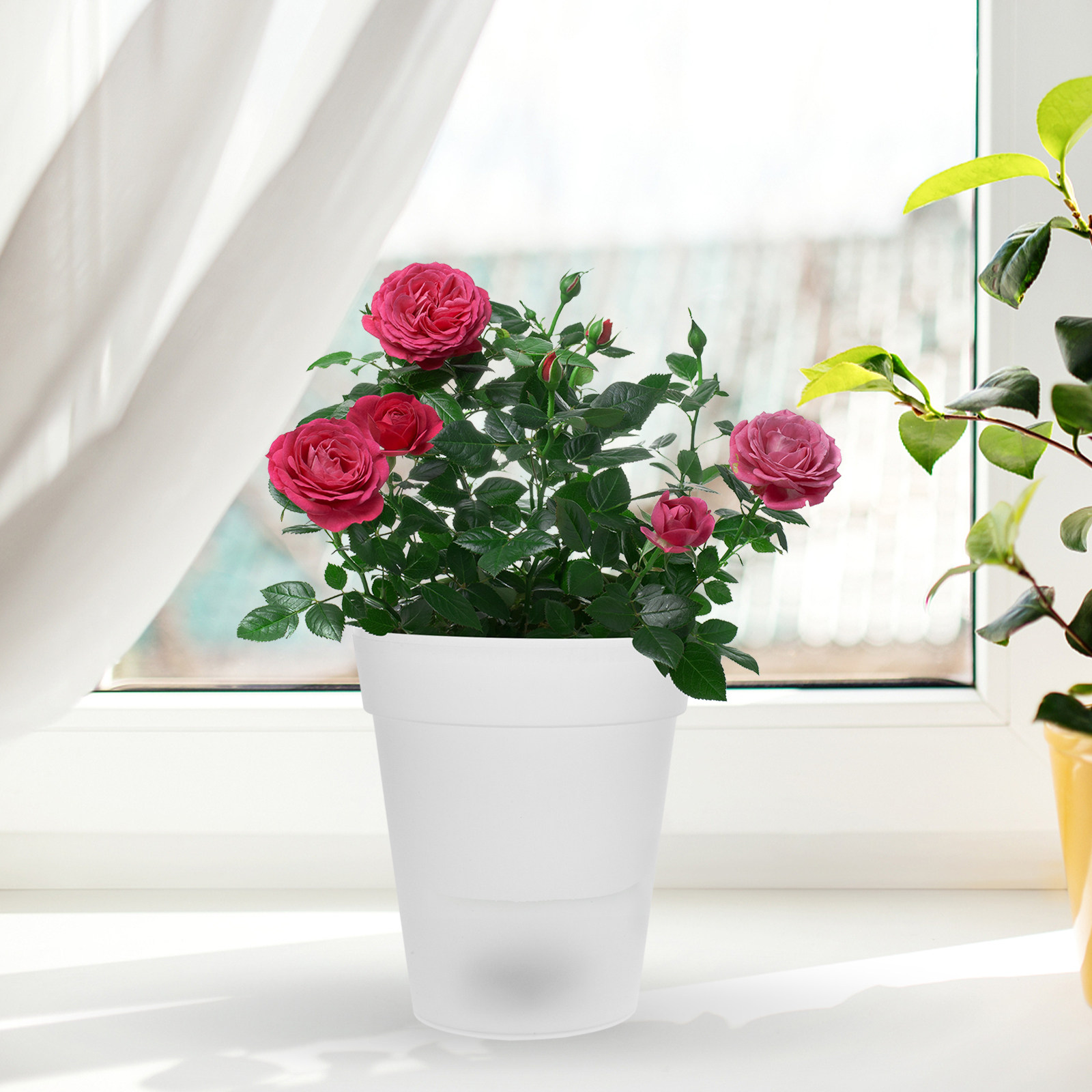 Flowerpot Solar Light Outdoor  – Christmas Lights Outdoor recenzja i cena